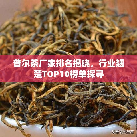 普爾茶廠家排名揭曉，行業(yè)翹楚TOP10榜單探尋
