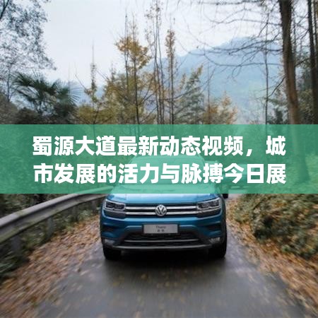 蜀源大道最新動(dòng)態(tài)視頻，城市發(fā)展的活力與脈搏今日展現(xiàn)