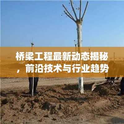 橋梁工程最新動態(tài)揭秘，前沿技術(shù)與行業(yè)趨勢展望