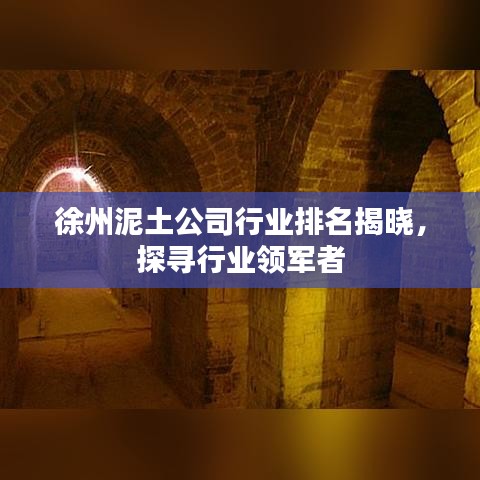 徐州泥土公司行業(yè)排名揭曉，探尋行業(yè)領(lǐng)軍者