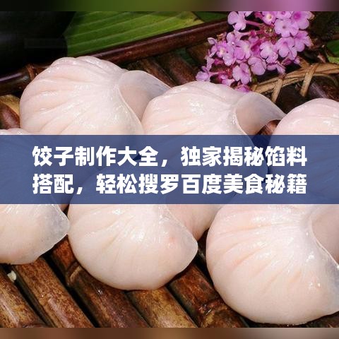 餃子制作大全，獨(dú)家揭秘餡料搭配，輕松搜羅百度美食秘籍！