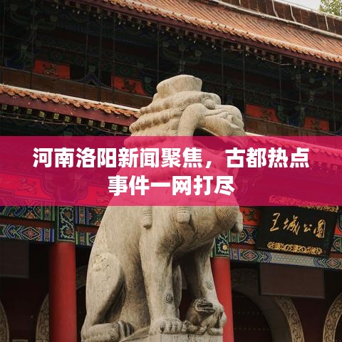 河南洛陽新聞聚焦，古都熱點事件一網(wǎng)打盡