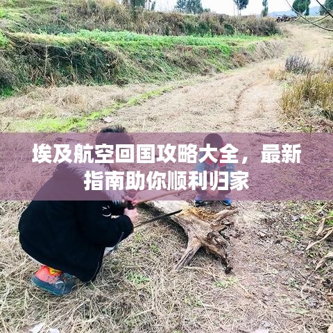 埃及航空回國(guó)攻略大全，最新指南助你順利歸家