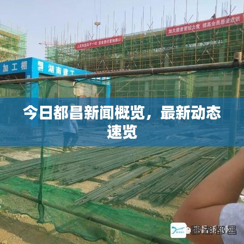 今日都昌新聞概覽，最新動態(tài)速覽