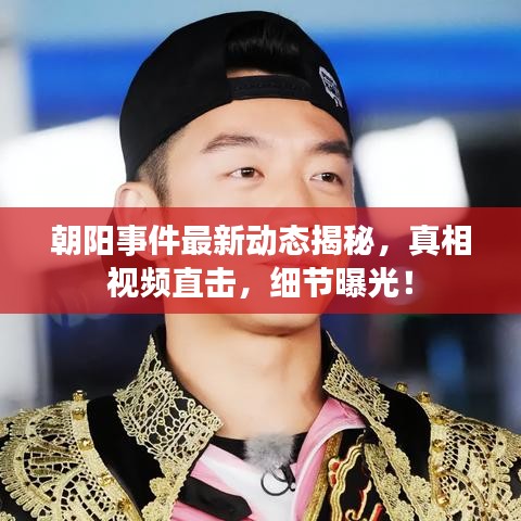 朝陽事件最新動態(tài)揭秘，真相視頻直擊，細(xì)節(jié)曝光！