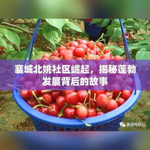 襄城北姚社區(qū)崛起，揭秘蓬勃發(fā)展背后的故事