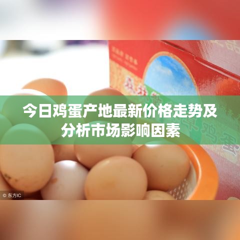 今日雞蛋產(chǎn)地最新價格走勢及分析市場影響因素