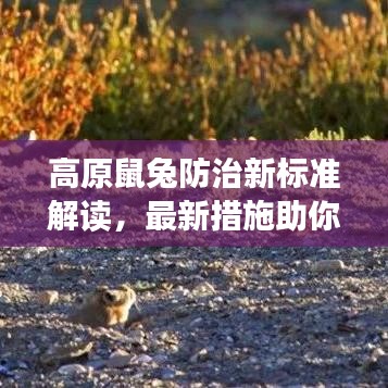 高原鼠兔防治新標(biāo)準(zhǔn)解讀，最新措施助你應(yīng)對(duì)高原鼠兔問題