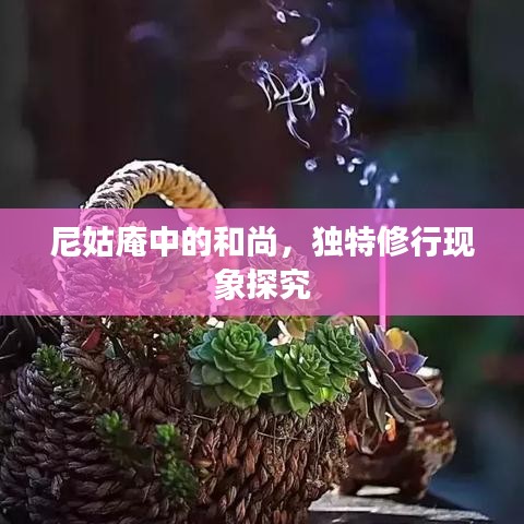 尼姑庵中的和尚，獨(dú)特修行現(xiàn)象探究