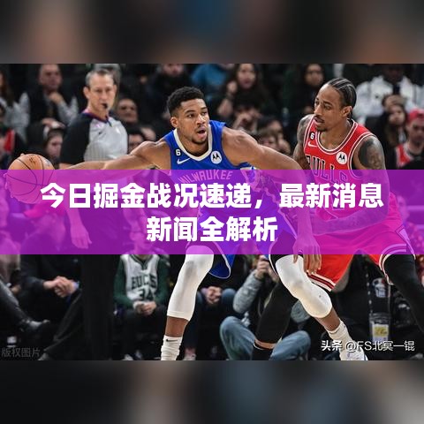 今日掘金戰(zhàn)況速遞，最新消息新聞全解析