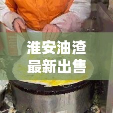 淮安油渣最新出售信息及價格走勢解析