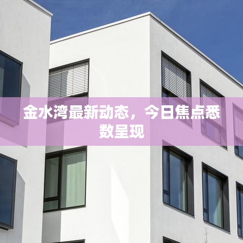 金水灣最新動態(tài)，今日焦點悉數(shù)呈現(xiàn)