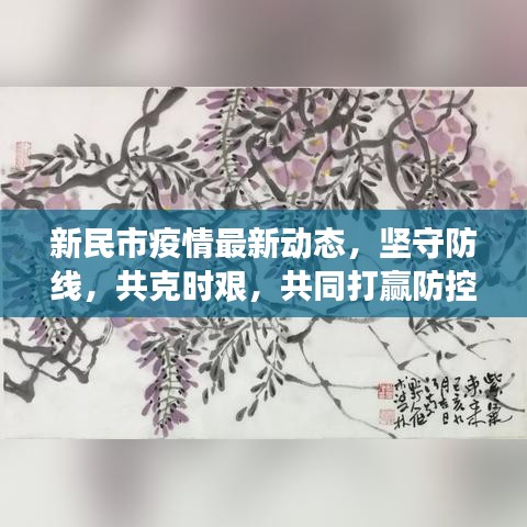 新民市疫情最新動態(tài)，堅守防線，共克時艱，共同打贏防控戰(zhàn)