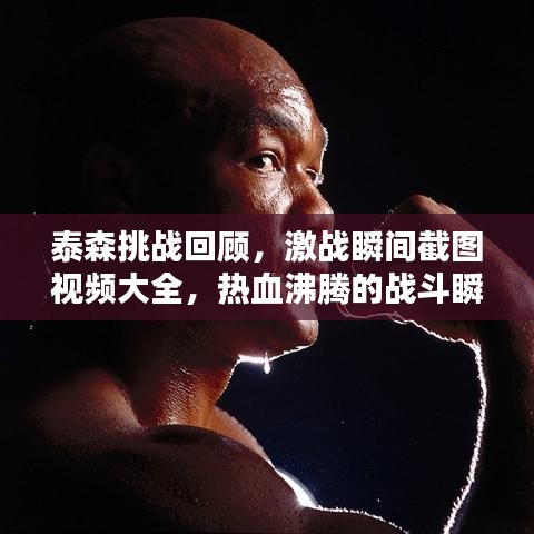 泰森挑戰(zhàn)回顧，激戰(zhàn)瞬間截圖視頻大全，熱血沸騰的戰(zhàn)斗瞬間！