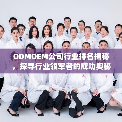 ODMOEM公司行業(yè)排名揭秘，探尋行業(yè)領(lǐng)軍者的成功奧秘