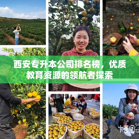 西安專升本公司排名榜，優(yōu)質(zhì)教育資源的領(lǐng)航者探索