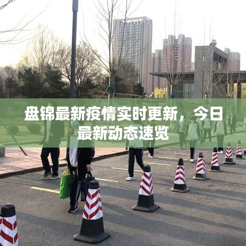 盤(pán)錦最新疫情實(shí)時(shí)更新，今日最新動(dòng)態(tài)速覽