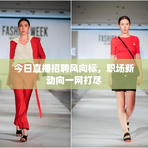 今日直播招聘風向標，職場新動向一網(wǎng)打盡