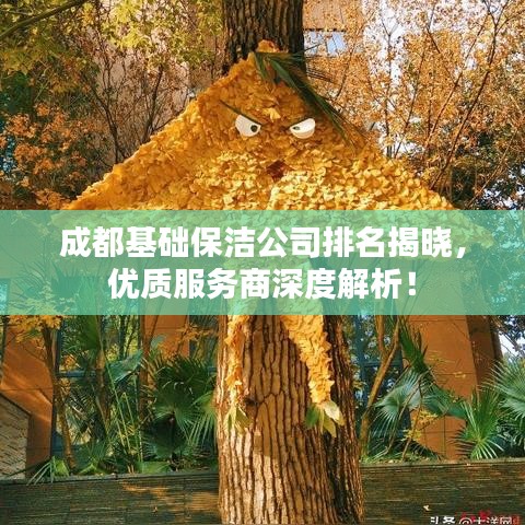 成都基礎保潔公司排名揭曉，優(yōu)質(zhì)服務商深度解析！