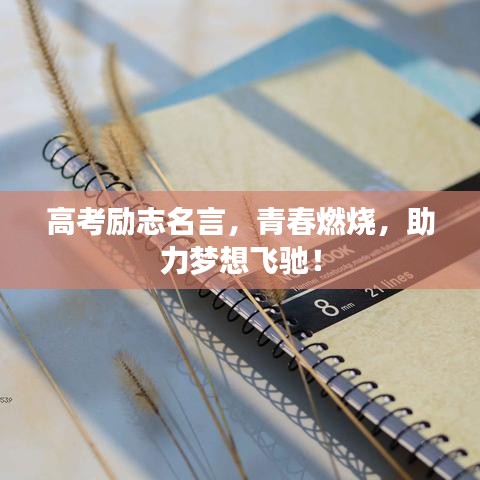 高考勵(lì)志名言，青春燃燒，助力夢(mèng)想飛馳！