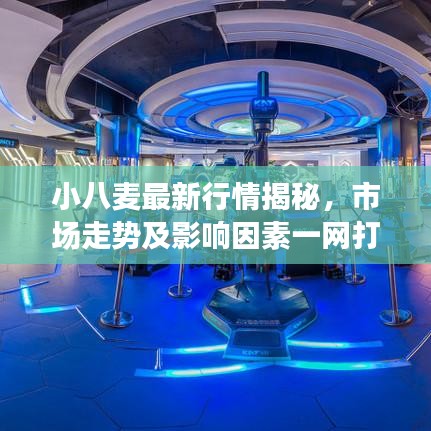 小八麥最新行情揭秘，市場走勢及影響因素一網打盡！