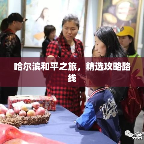 哈爾濱和平之旅，精選攻略路線