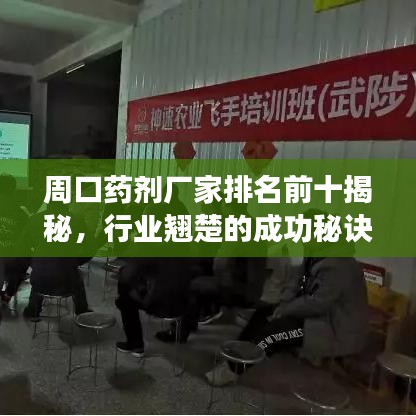 周口藥劑廠家排名前十揭秘，行業(yè)翹楚的成功秘訣解讀