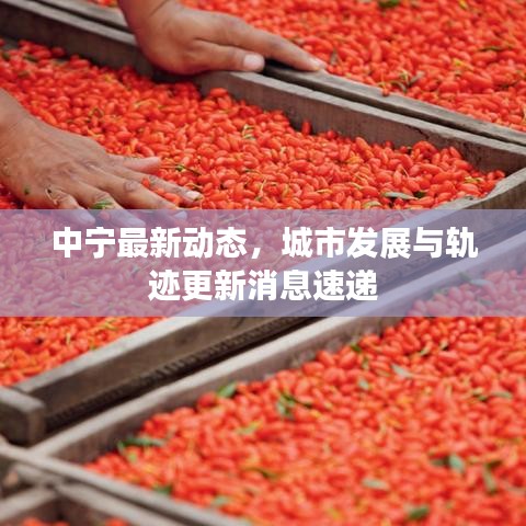中寧最新動(dòng)態(tài)，城市發(fā)展與軌跡更新消息速遞