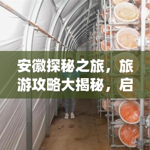 安徽探秘之旅，旅游攻略大揭秘，啟程發(fā)現(xiàn)神秘之地！