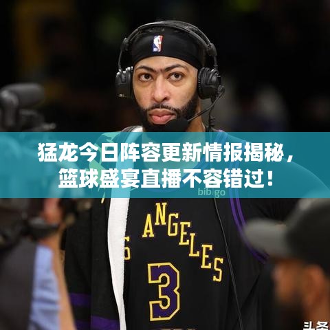 猛龍今日陣容更新情報(bào)揭秘，籃球盛宴直播不容錯(cuò)過(guò)！