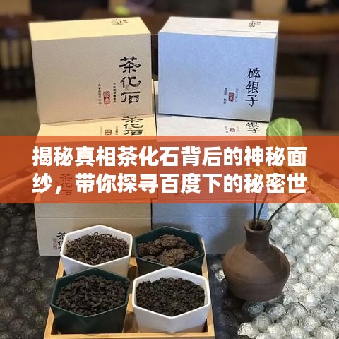 揭秘真相茶化石背后的神秘面紗，帶你探尋百度下的秘密世界！