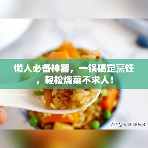 懶人必備神器，一鍋搞定烹飪，輕松燒菜不求人！