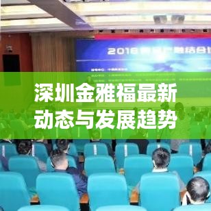 深圳金雅福最新動(dòng)態(tài)與發(fā)展趨勢揭秘，獨(dú)家視頻消息速遞