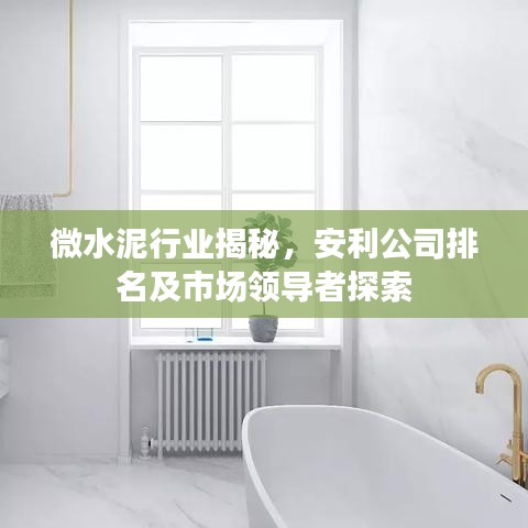 微水泥行業(yè)揭秘，安利公司排名及市場(chǎng)領(lǐng)導(dǎo)者探索