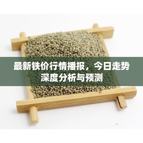 最新鐵價(jià)行情播報(bào)，今日走勢(shì)深度分析與預(yù)測(cè)