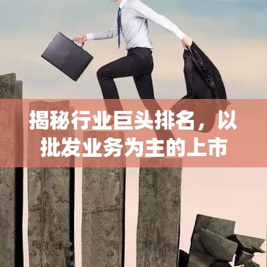 揭秘行業(yè)巨頭排名，以批發(fā)業(yè)務(wù)為主的上市公司趨勢(shì)洞察