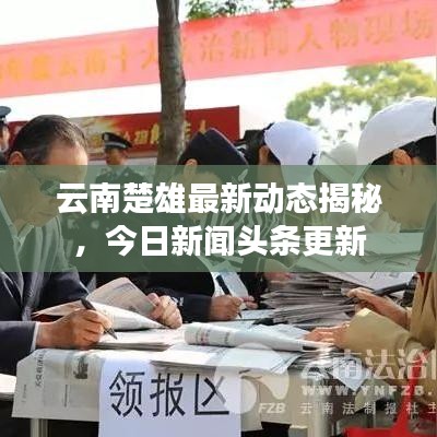云南楚雄最新動(dòng)態(tài)揭秘，今日新聞?lì)^條更新