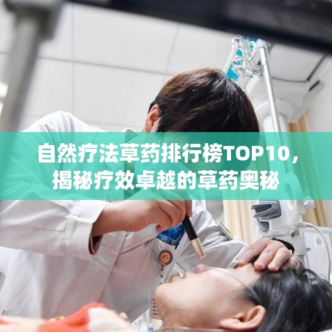 自然療法草藥排行榜TOP10，揭秘療效卓越的草藥奧秘
