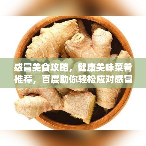感冒美食攻略，健康美味菜肴推薦，百度助你輕松應(yīng)對(duì)感冒飲食選擇