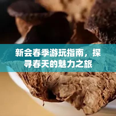 新會(huì)春季游玩指南，探尋春天的魅力之旅