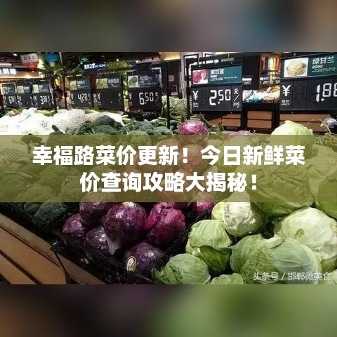 幸福路菜價更新！今日新鮮菜價查詢攻略大揭秘！