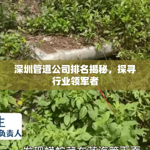 深圳管道公司排名揭秘，探尋行業(yè)領軍者