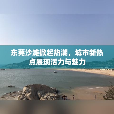 東莞沙灘掀起熱潮，城市新熱點展現(xiàn)活力與魅力