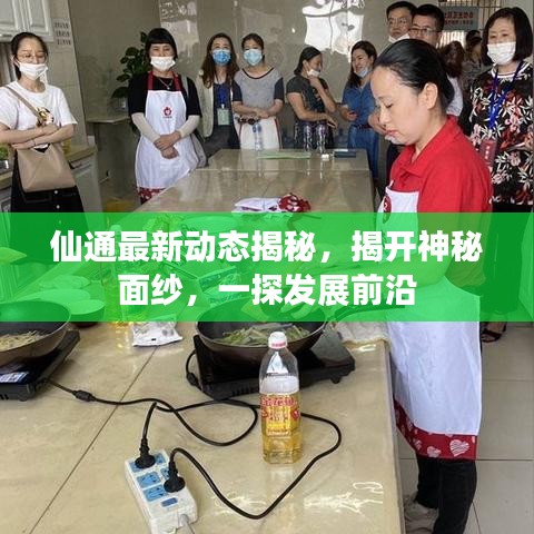 仙通最新動(dòng)態(tài)揭秘，揭開神秘面紗，一探發(fā)展前沿