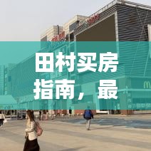 田村買(mǎi)房指南，最新攻略，購(gòu)房者必看福音