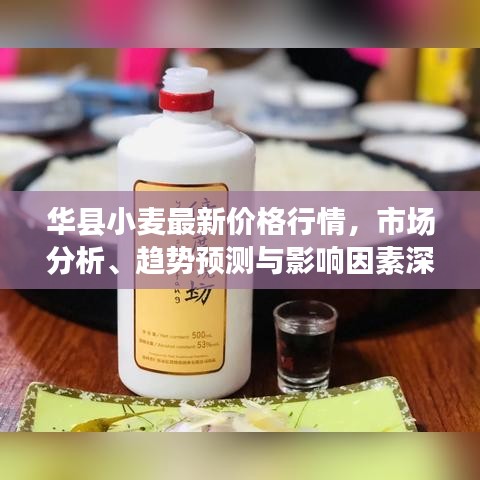 華縣小麥最新價格行情，市場分析、趨勢預(yù)測與影響因素深度解讀