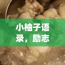 小柚子語錄，勵志心靈雞湯，百度熱門推薦