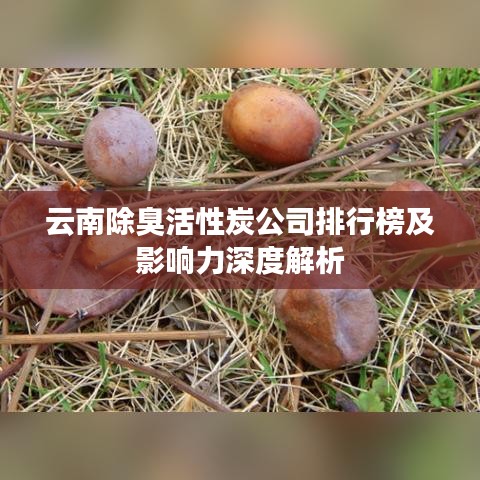 云南除臭活性炭公司排行榜及影響力深度解析