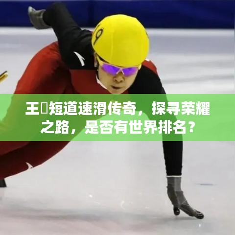 王濛短道速滑傳奇，探尋榮耀之路，是否有世界排名？