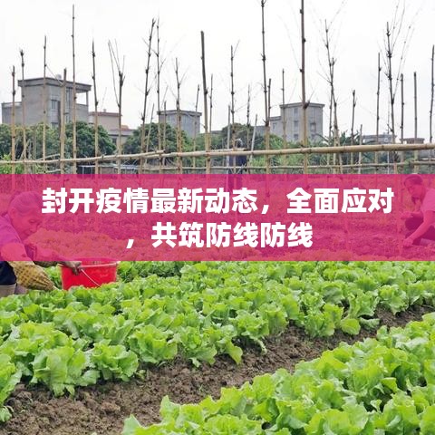 封開疫情最新動(dòng)態(tài)，全面應(yīng)對，共筑防線防線